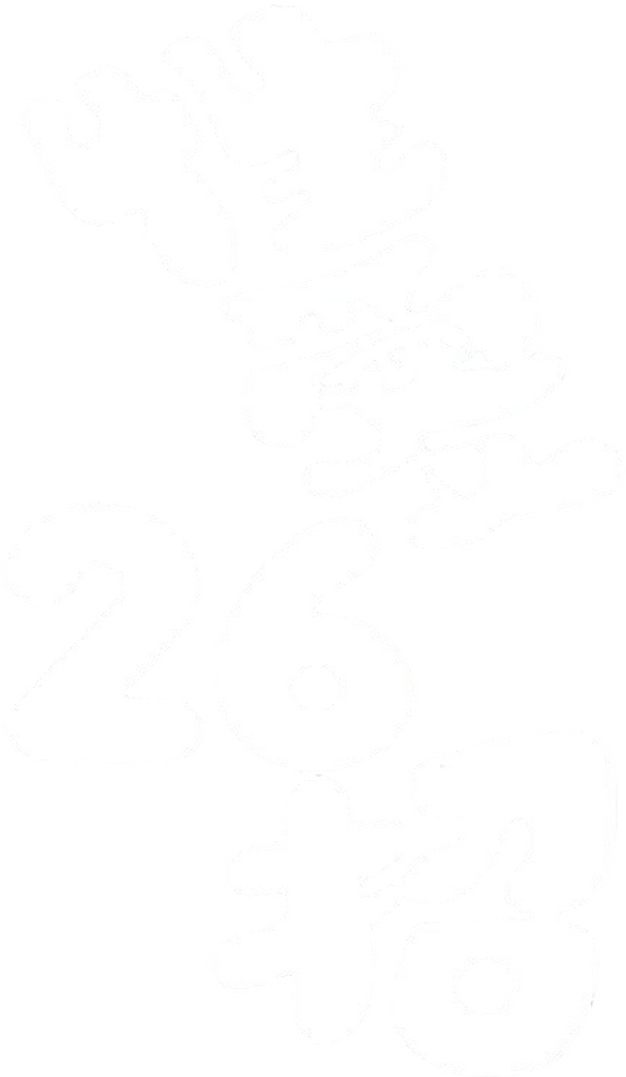 enlarged Logo 0