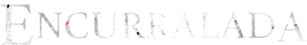 enlarged Logo 0