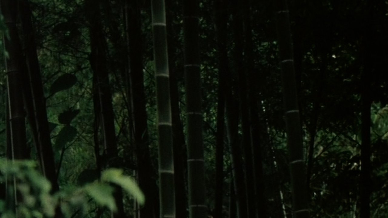 Young Pines