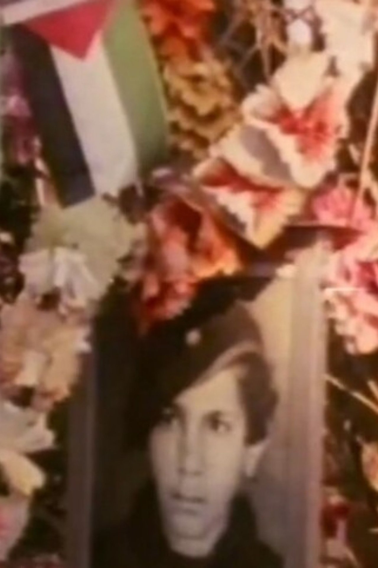 enlarged Poster 0