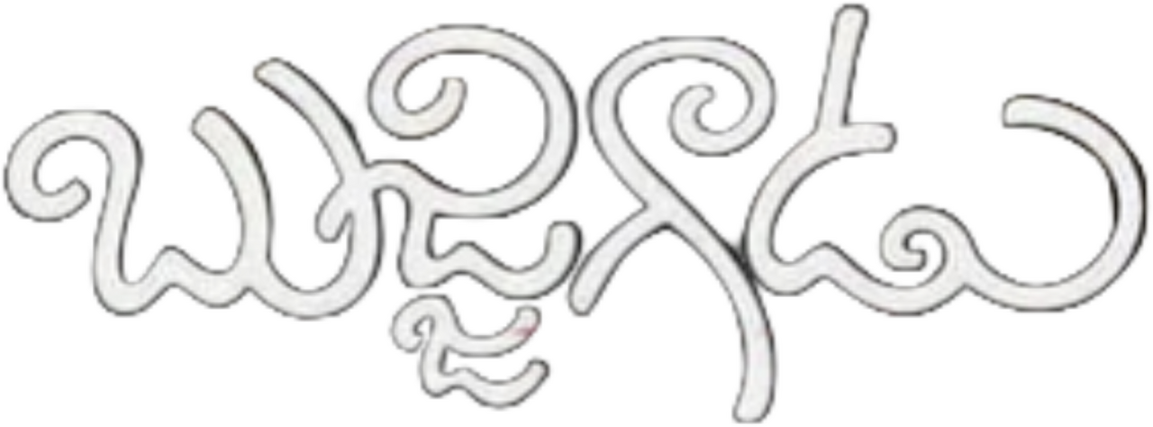 enlarged Logo 0