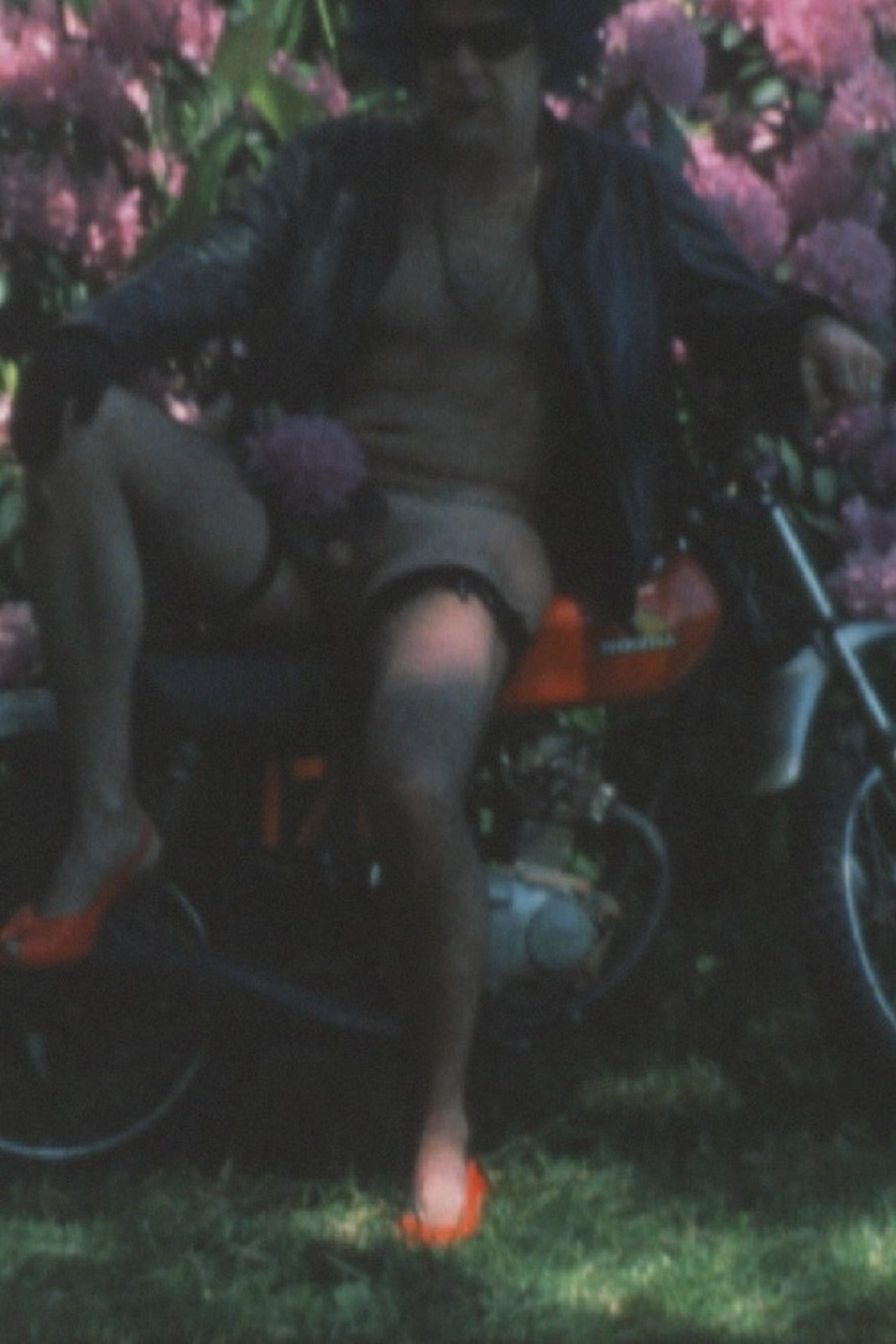 enlarged Poster 0