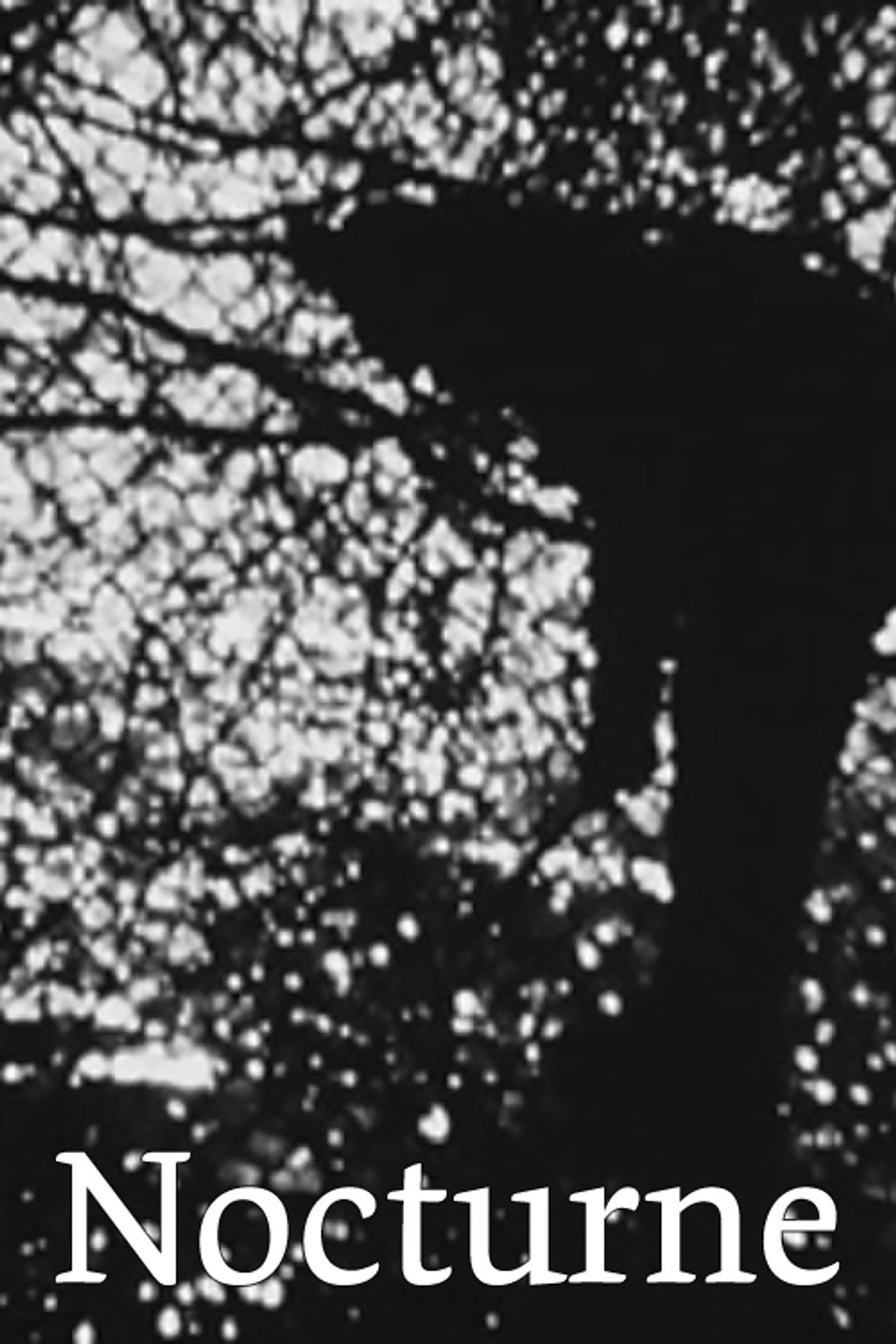 Nocturne