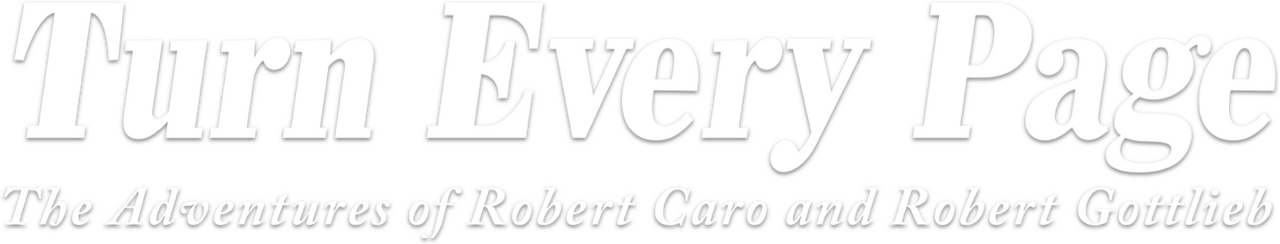 enlarged Logo 0