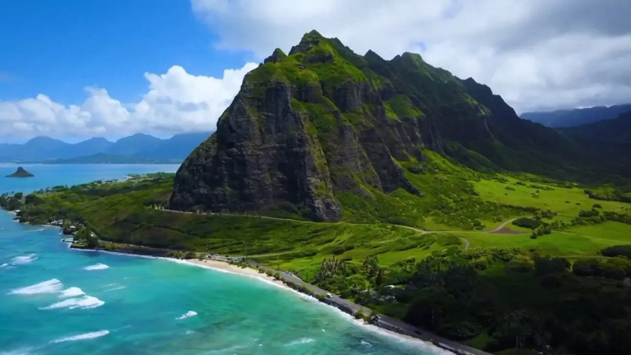 Hawaiian Island Treehouse Adventure