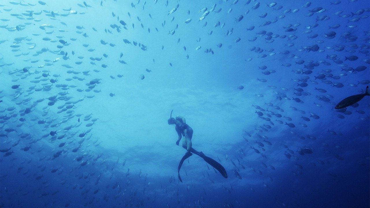 The Sub-Tropical Zone