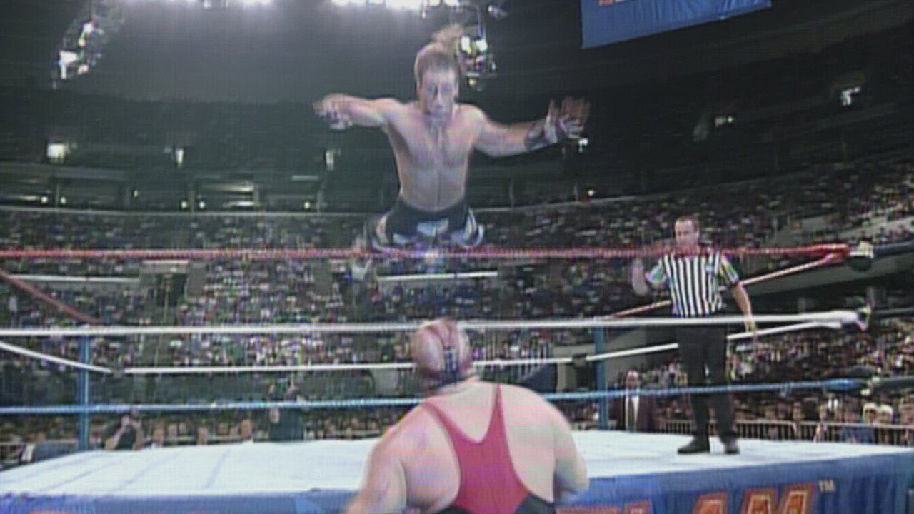 SummerSlam in the 90s