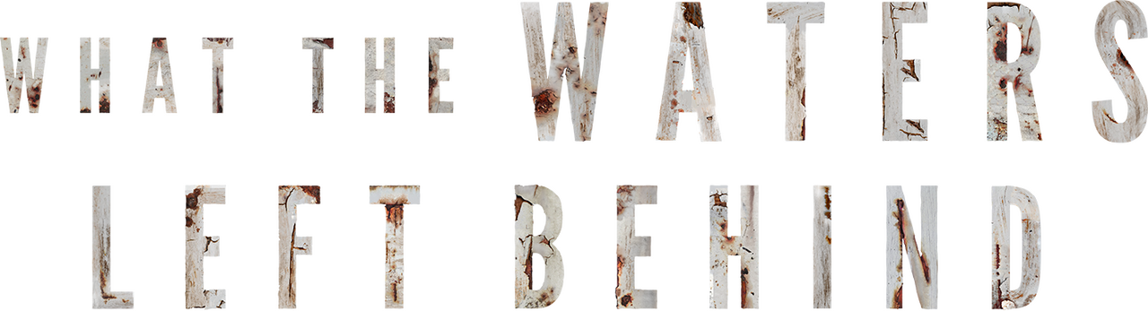 enlarged Logo 0