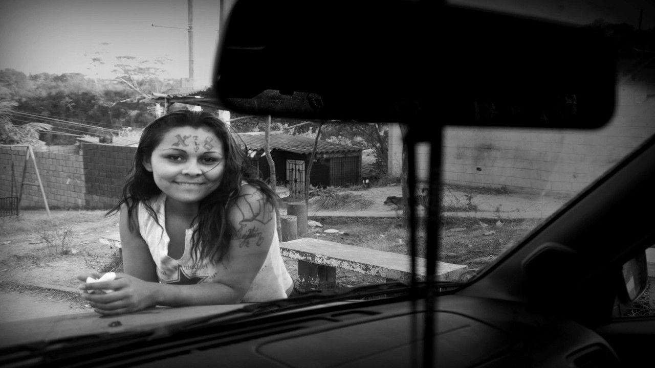 backdrop The Crazy Life