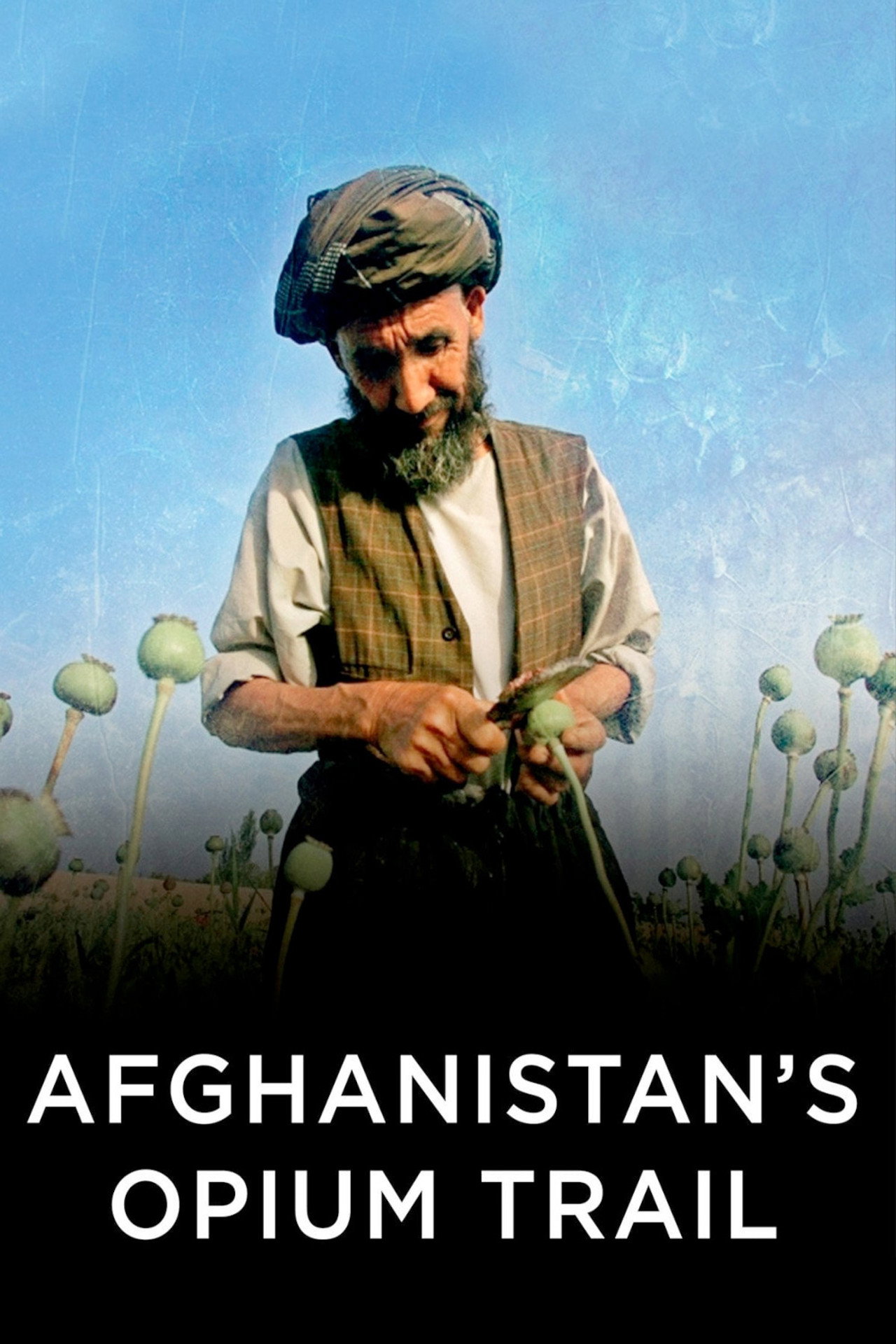 Afghanistan's Opium Trail