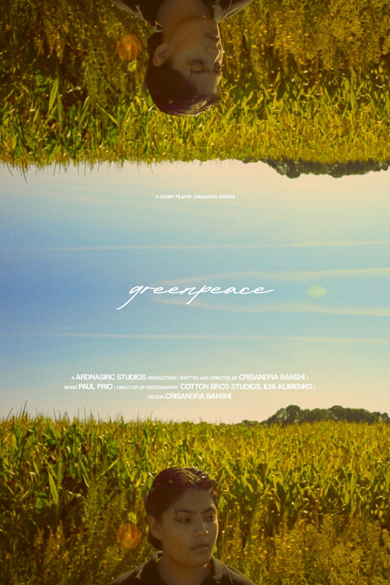 enlarged Poster 0