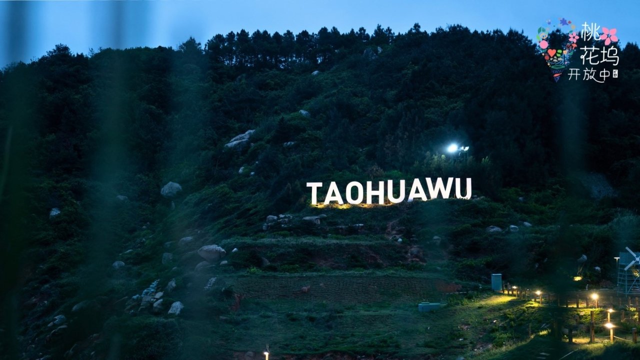 movie backdrop