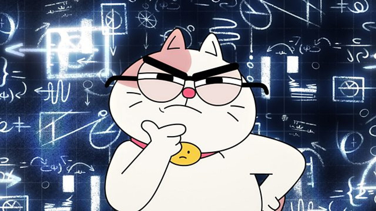 Cat-bert Einstein