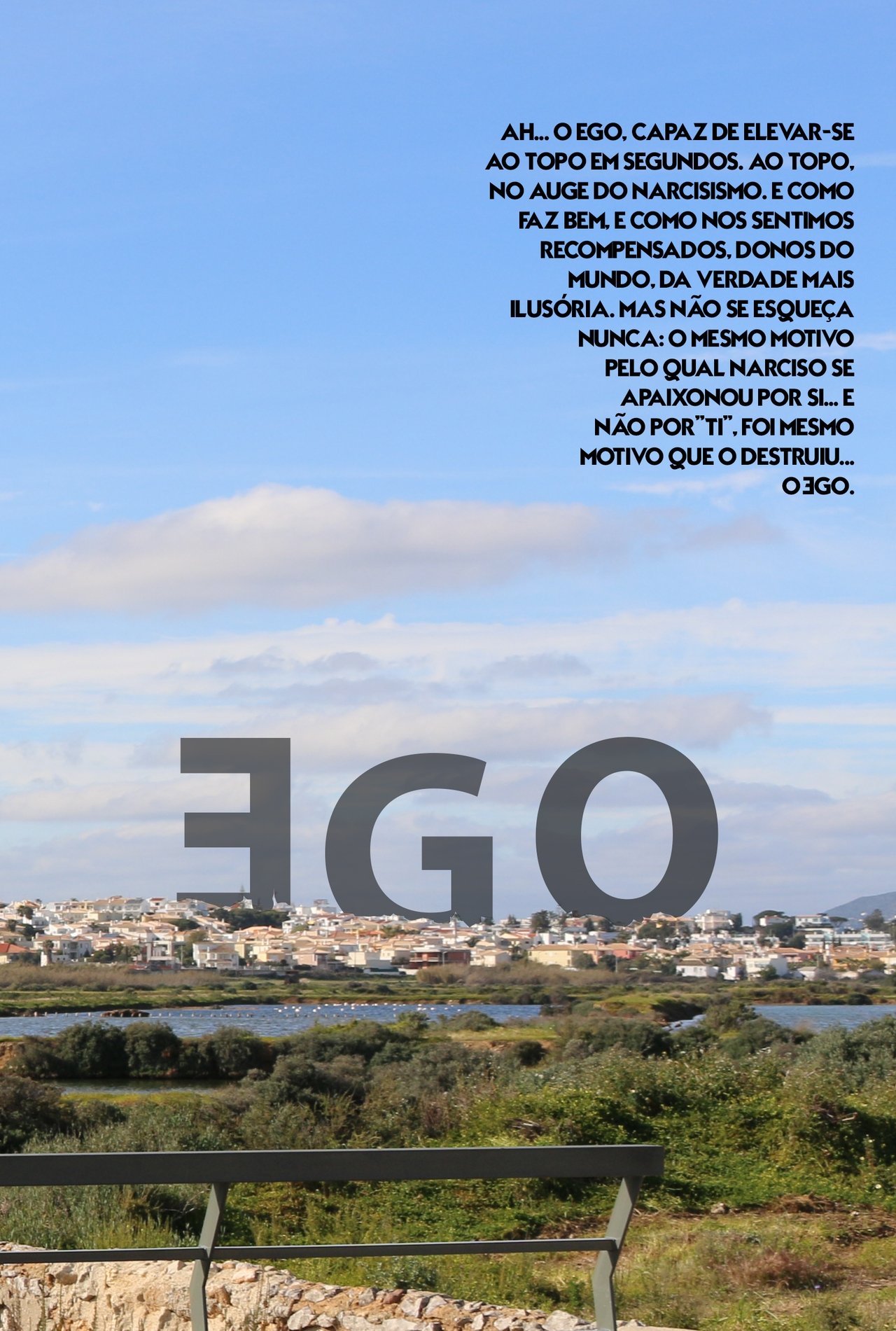 enlarged Poster 0
