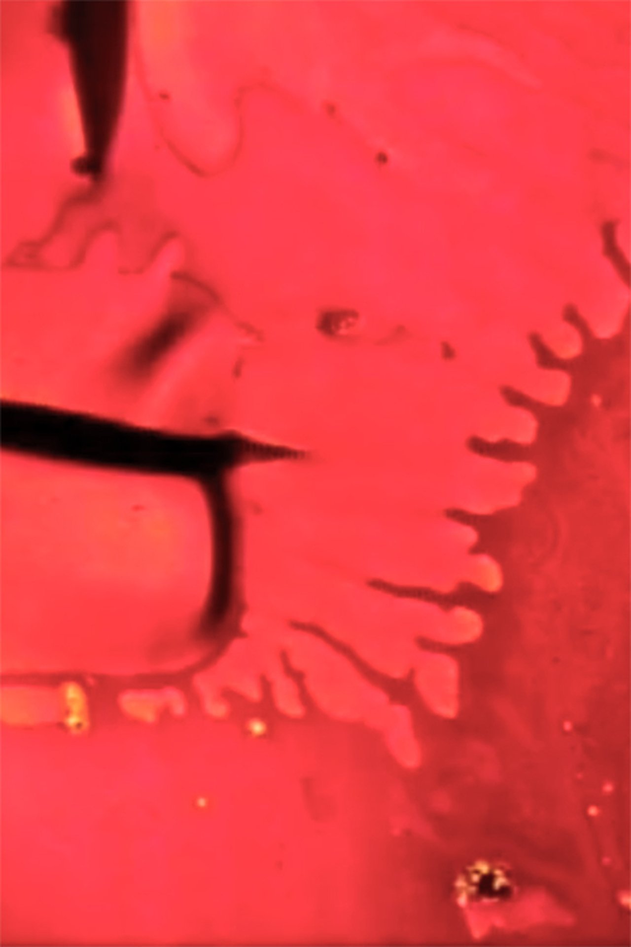 enlarged Poster 0