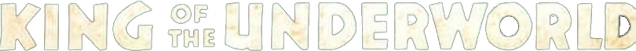 enlarged Logo 0
