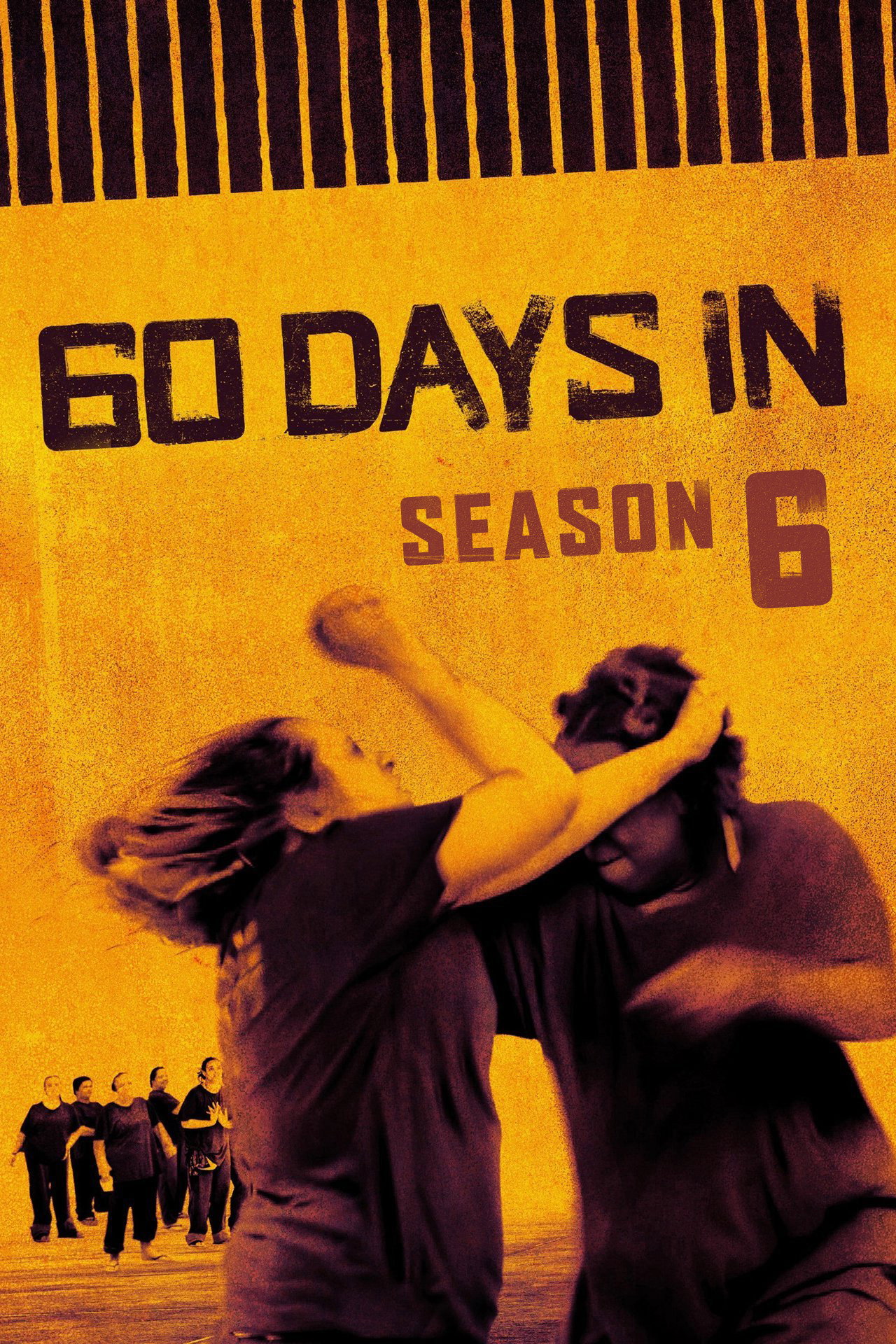 Season 6