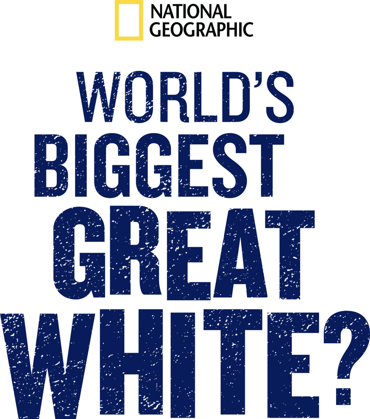 enlarged Logo 0