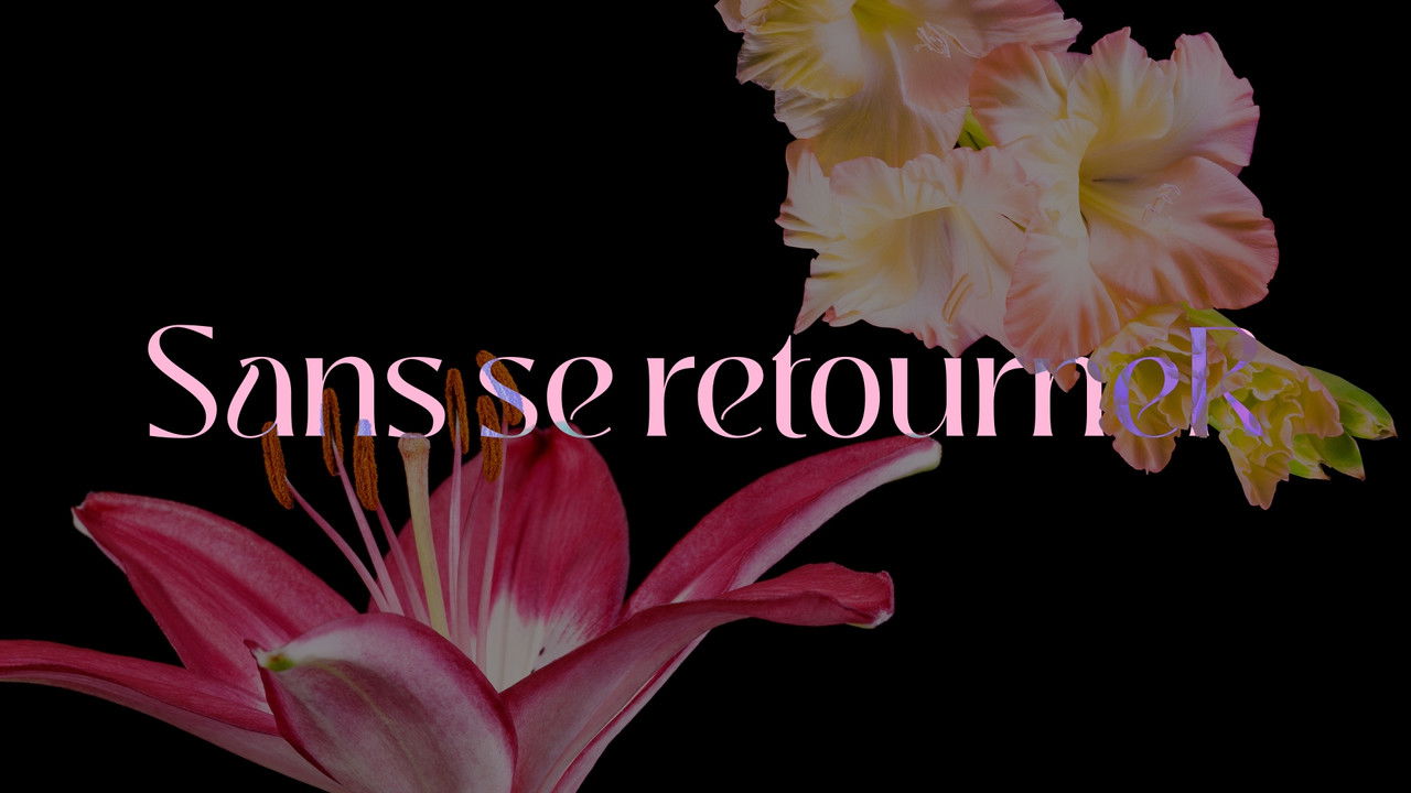 backdrop Sans se retourneR