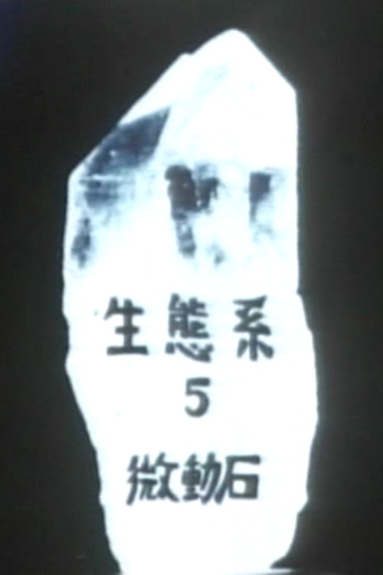 enlarged Poster 0