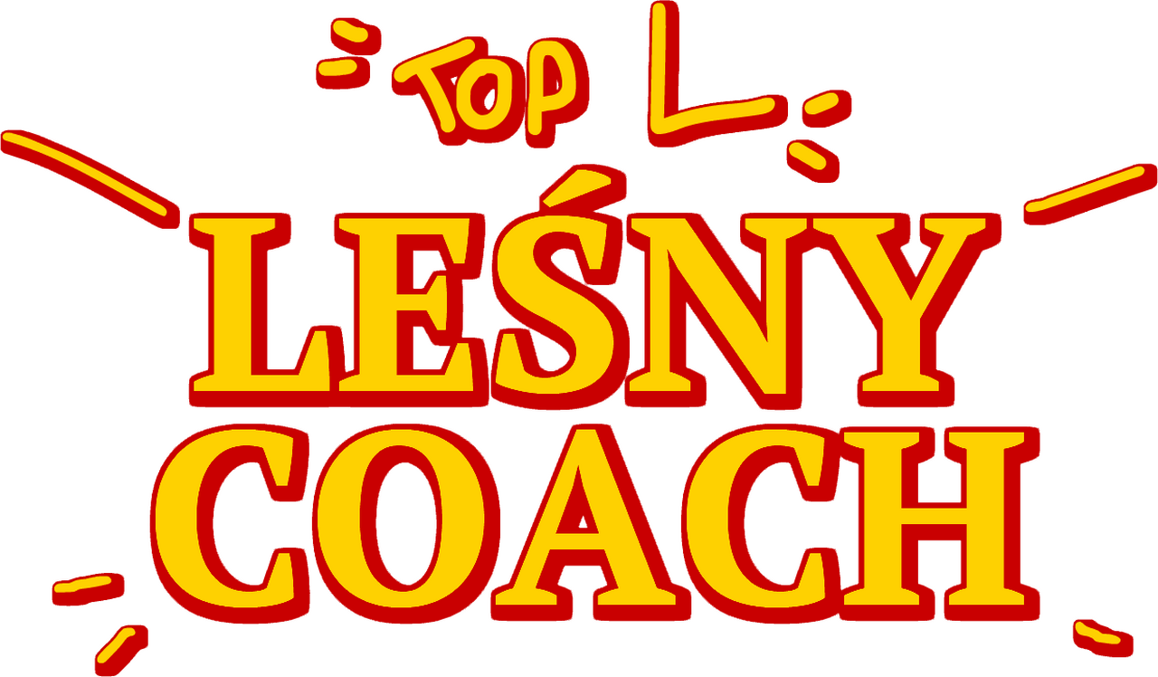 enlarged Logo 0