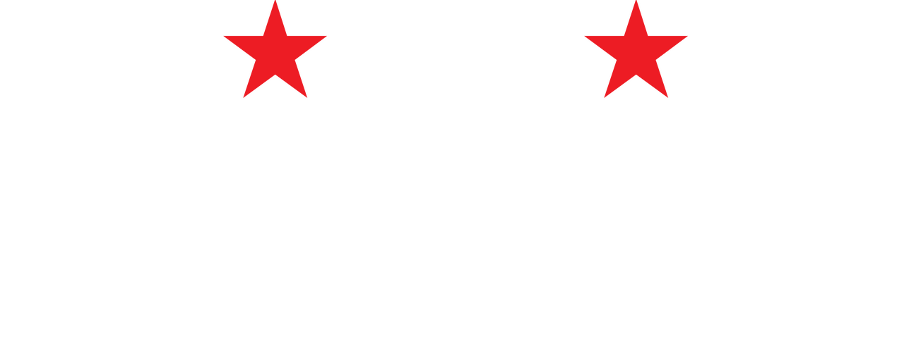 enlarged Logo 0