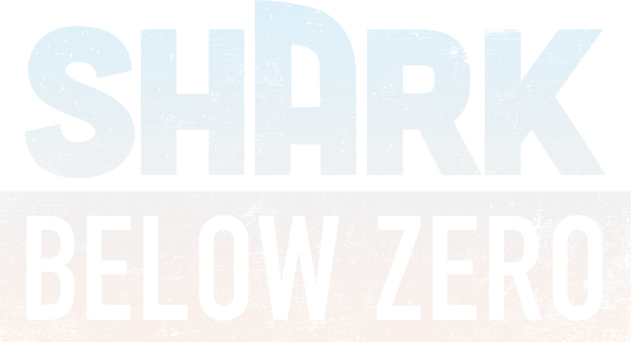 enlarged Logo 0