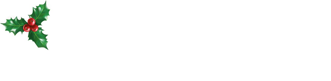 enlarged Logo 0