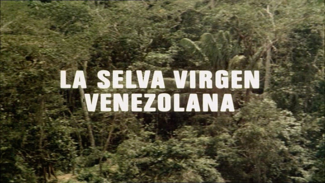 The Venezuelan Virgin Jungle