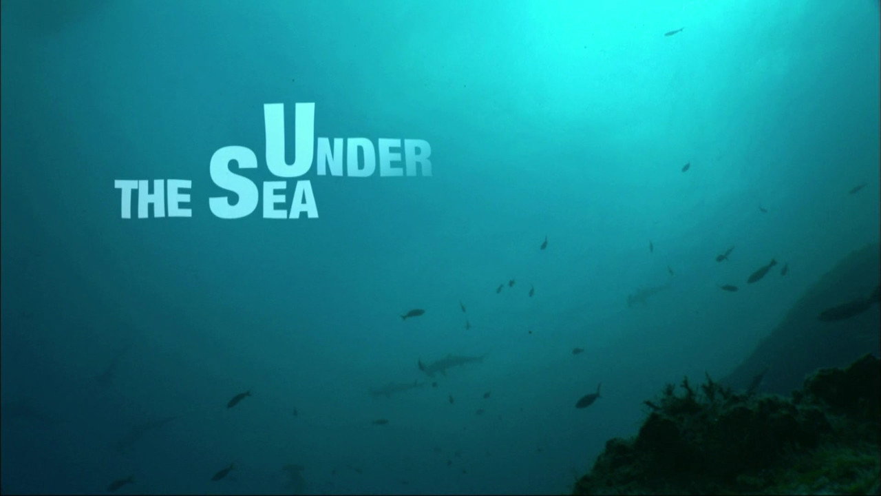 Under the Sea