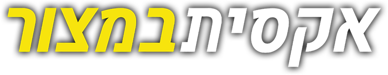enlarged Logo 0