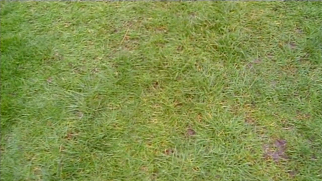 Do You Remember the First Time?