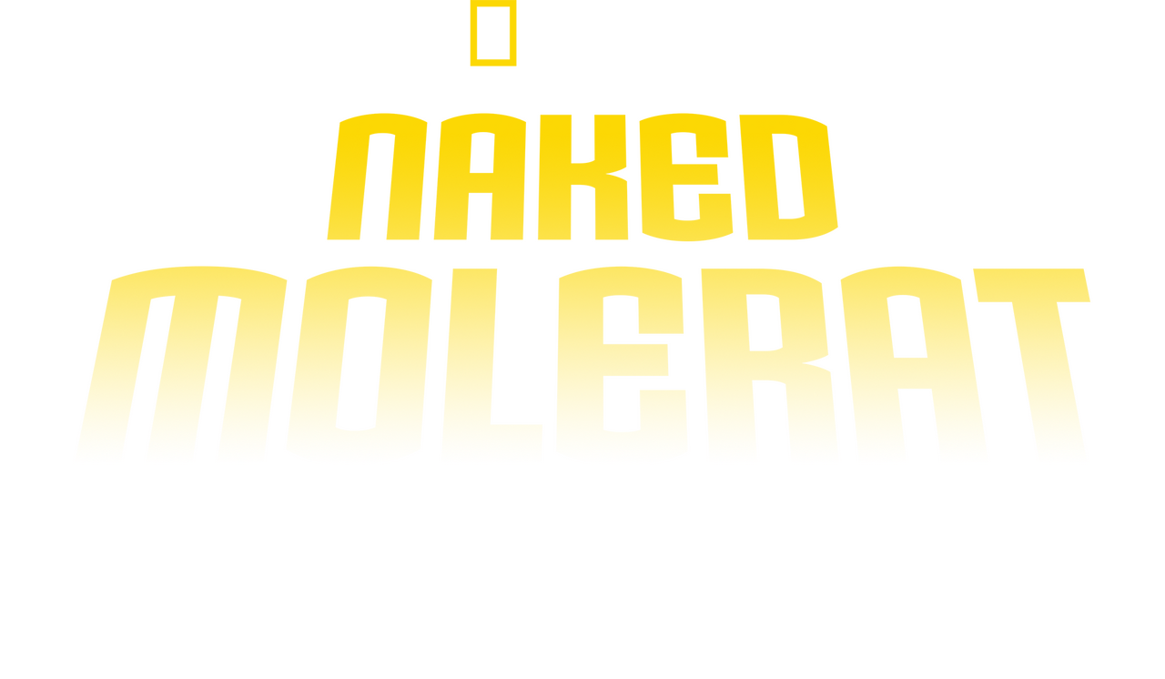 enlarged Logo 0