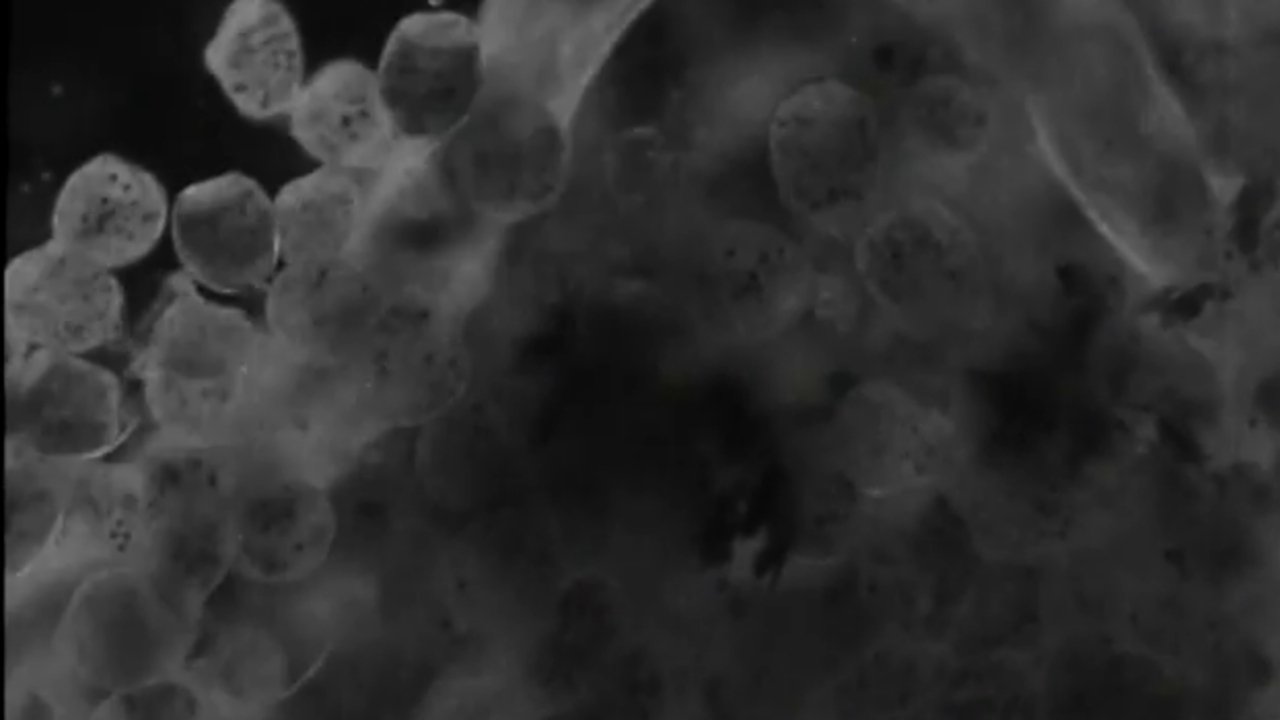 backdrop The World in a Wine-Glass