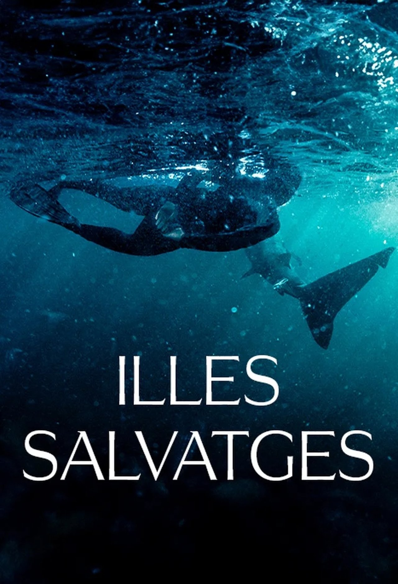 enlarged Poster 0