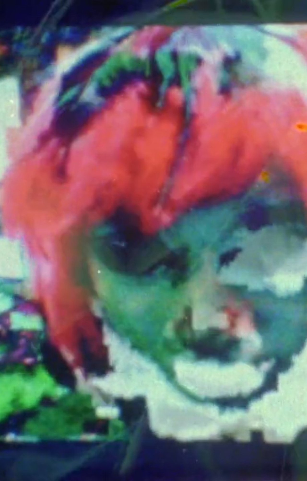 enlarged Poster 0