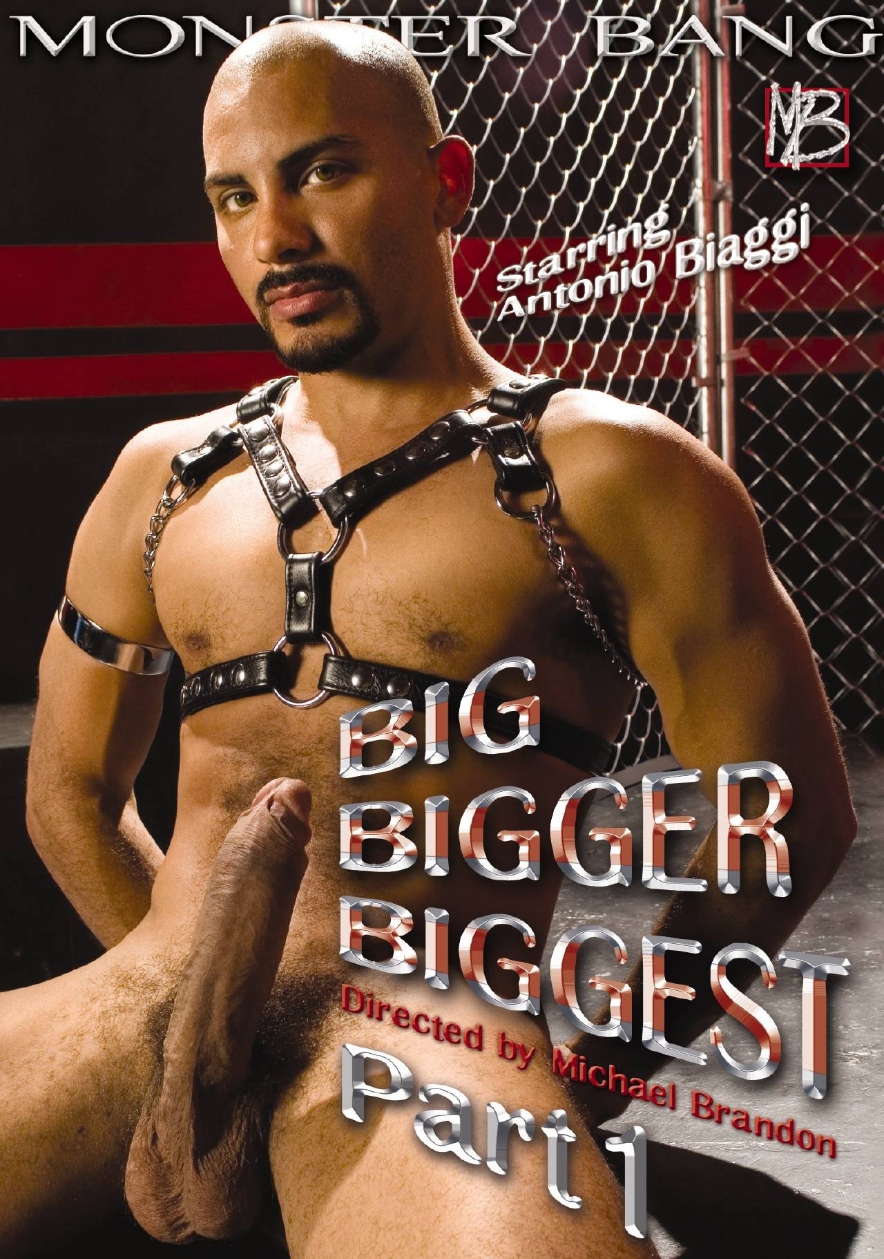 enlarged Poster 0