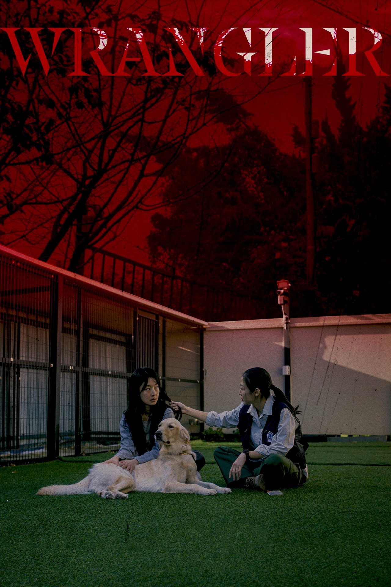 enlarged Poster 0