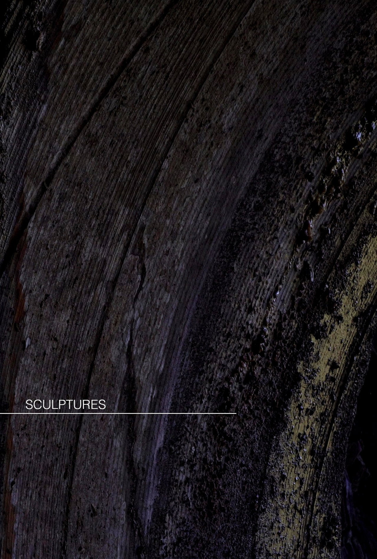 Sculptures [short]