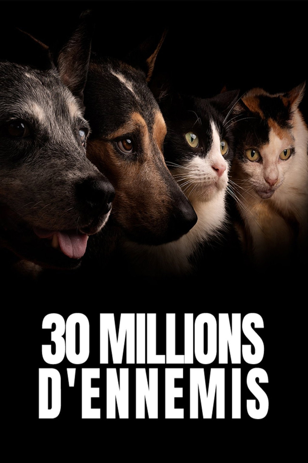 30 millions d'ennemis