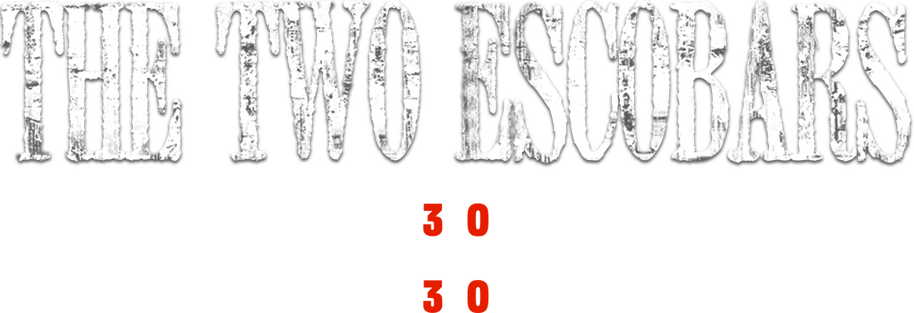 enlarged Logo 0