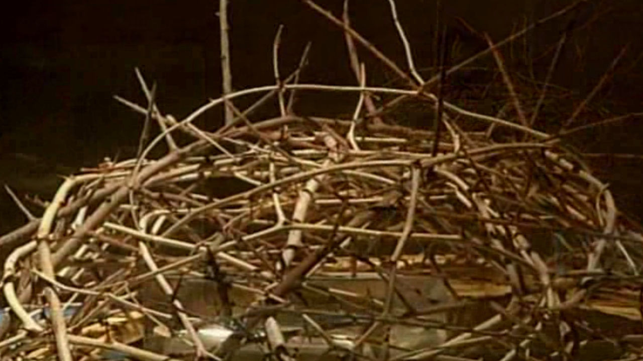 The Crown of Thorns
