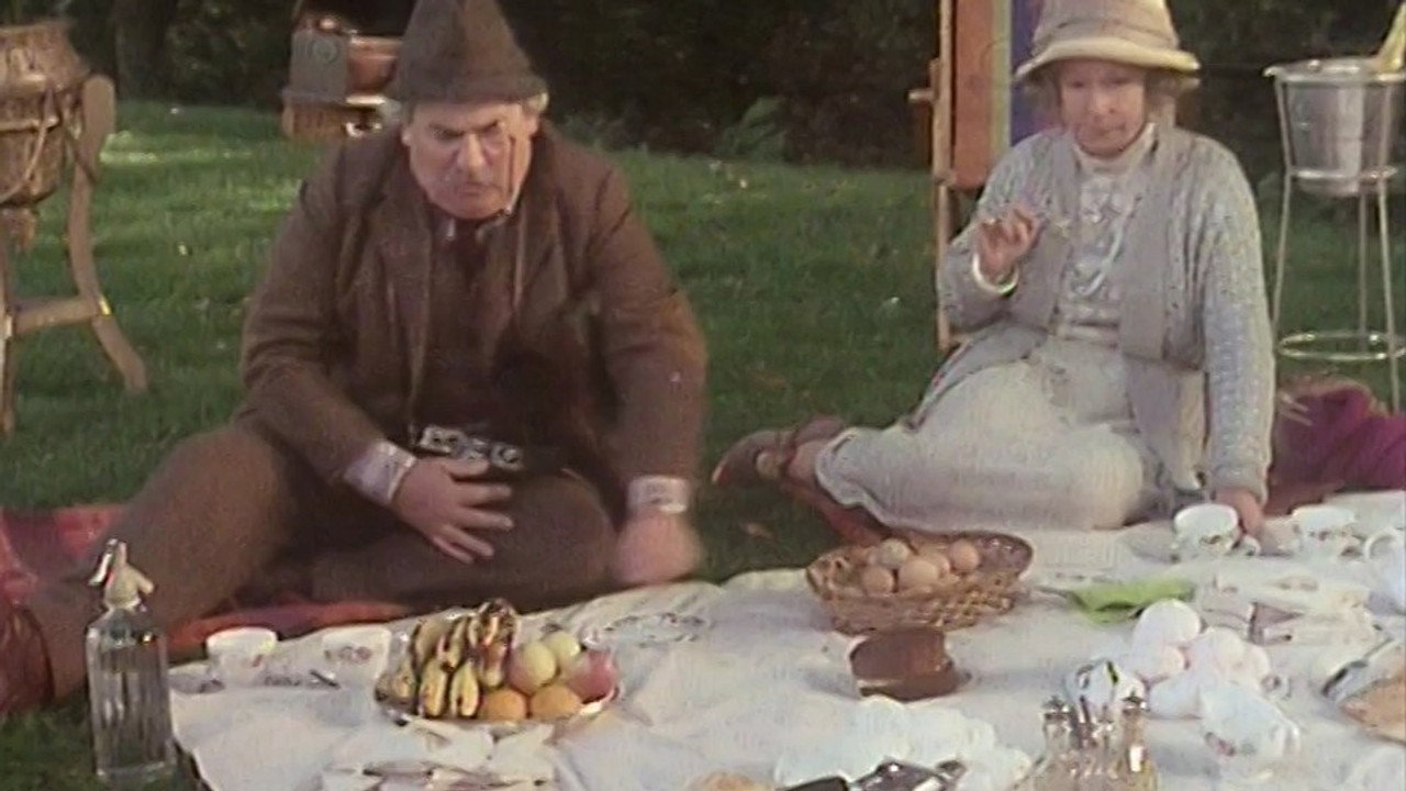 The Picnic