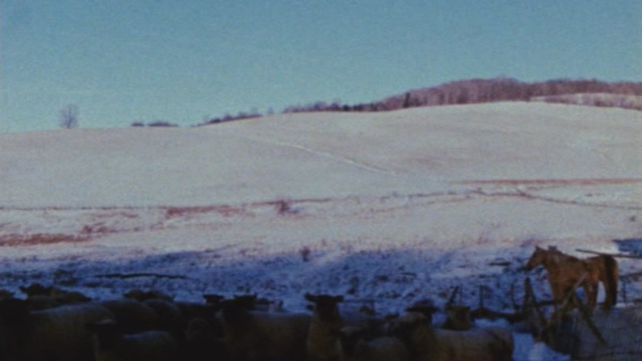 Horizons