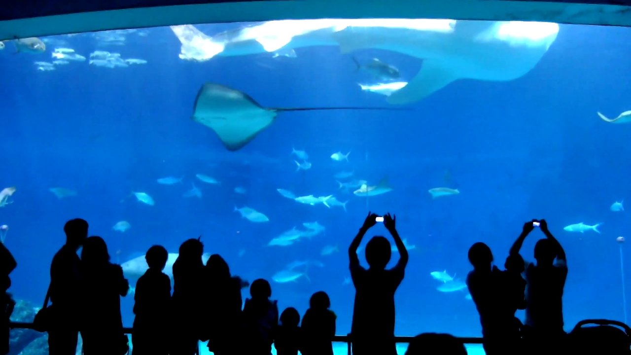 movie backdrop