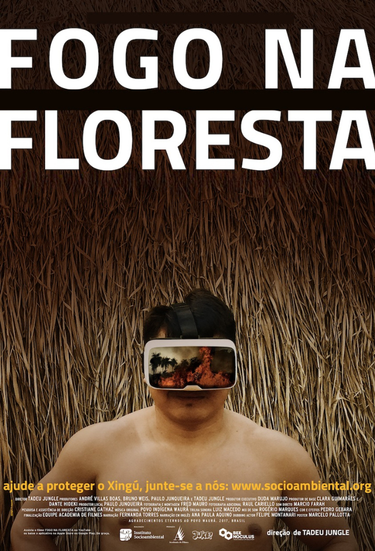 Fire in the Forest