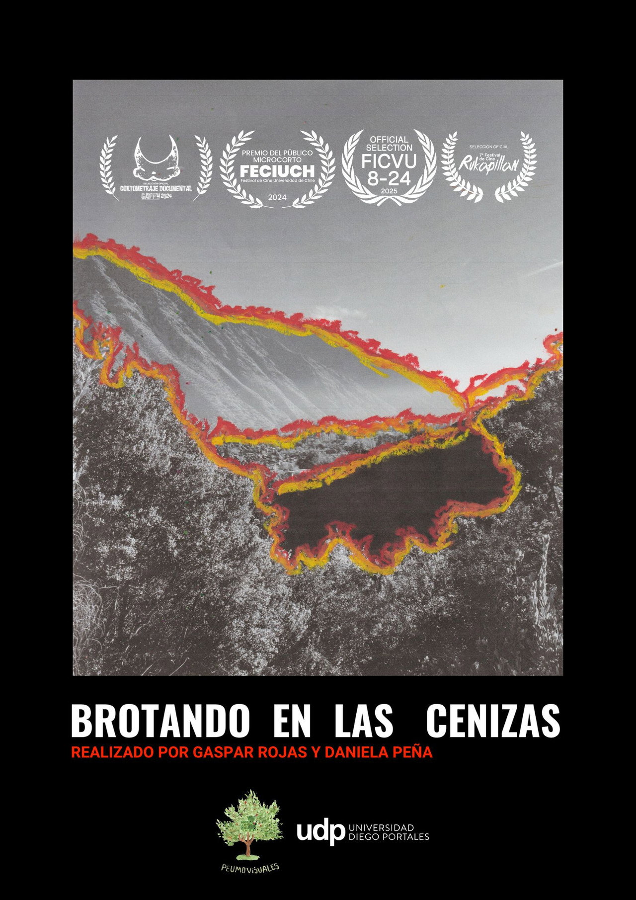 Brotando en las cenizas
