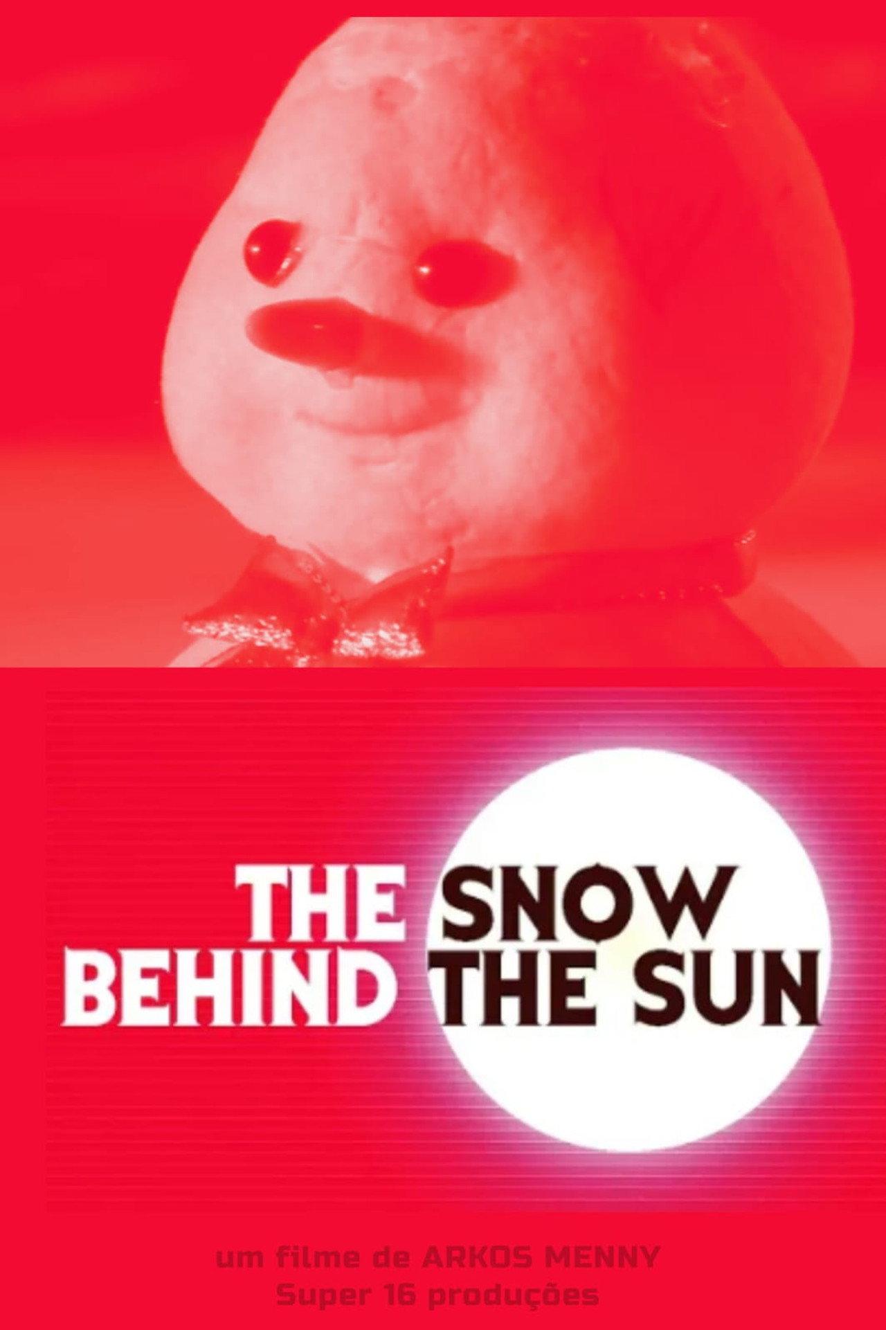 The Snow Behind the Sun