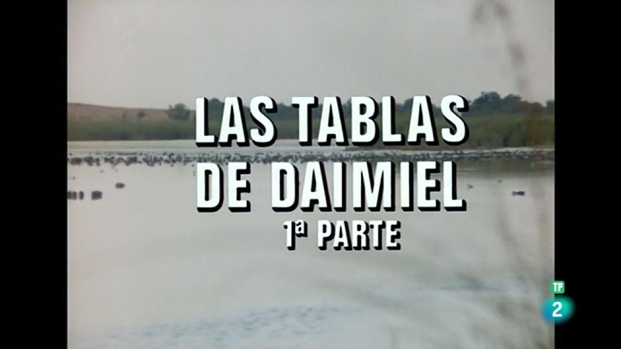 Las Tablas de Daimiel I