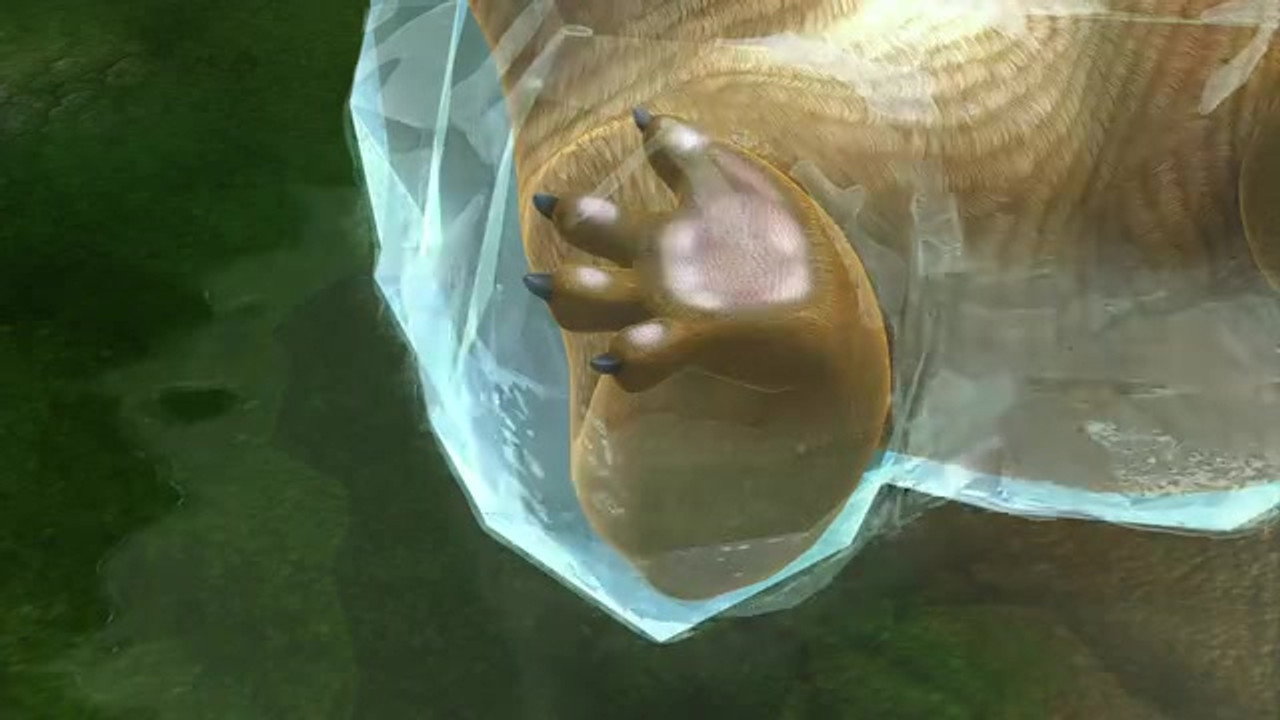 Episode 7